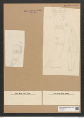 Eunotia clevei Grun. (de-Toni-Nr.: Genus 104, Species 3162) Zeichnungen Sammlung Grunow Nr. 6512 (NHMW-BOT-W0375225)